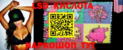 стаф Ставрополь