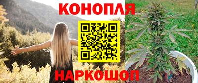 шишки Среднеуральск