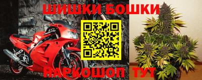 стаф Ставрополь