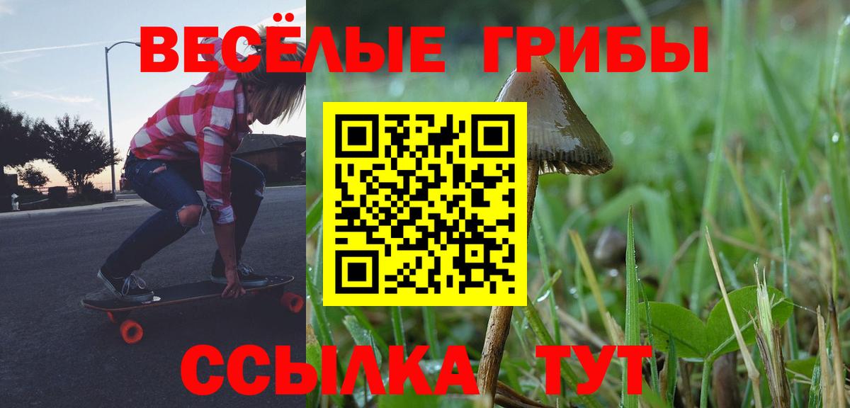 Обь  Галлюциногенные грибы ЛСД  Галлюциногенные грибы мицелий  Вход с VPN 
